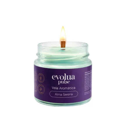 Vela Aromatizada 300g Alma Serena