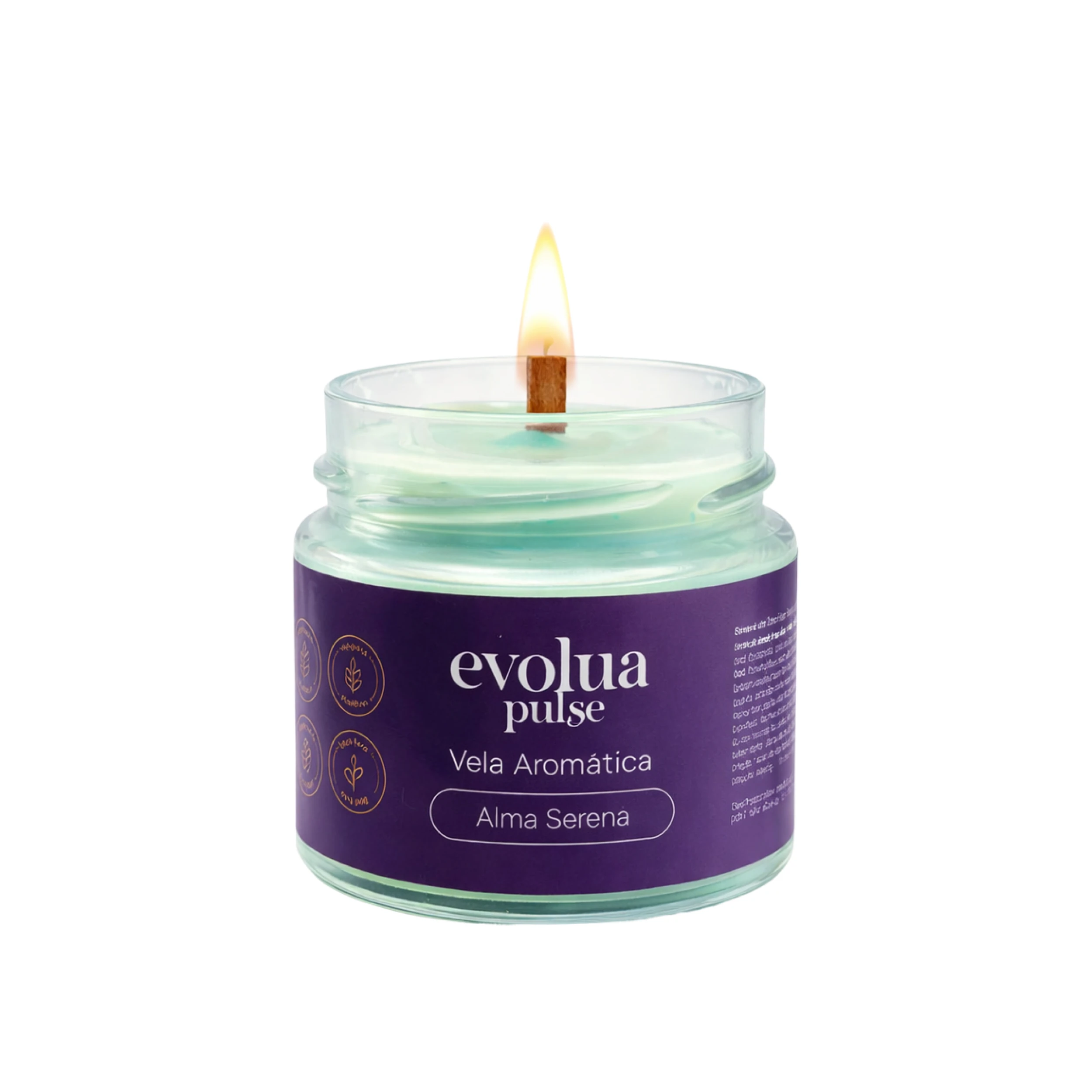 Vela Aromatizada 300g Alma Serena