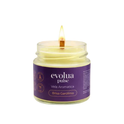 Vela Aromatizada 300g Brisa Gardênia