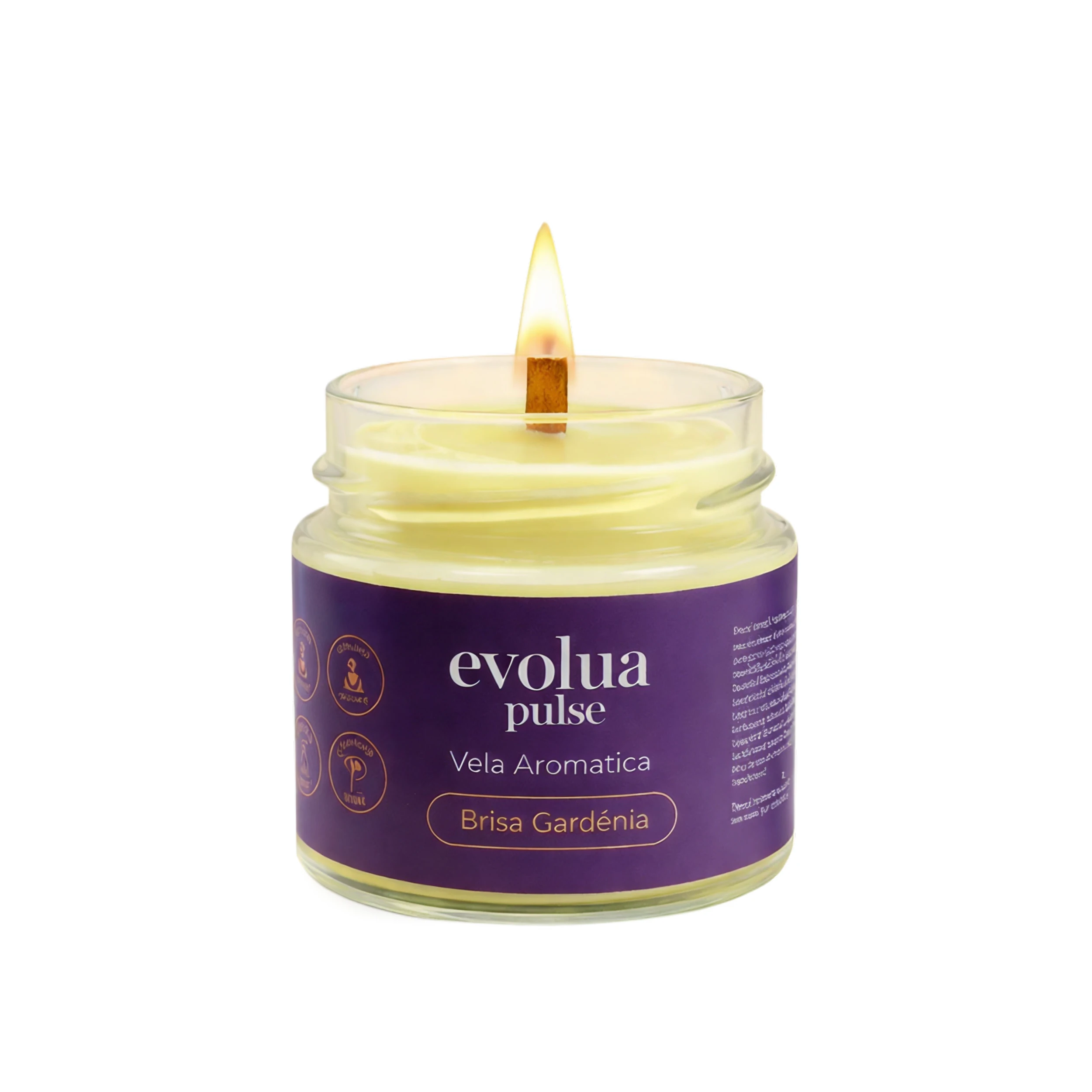 Vela Aromatizada 300g Brisa Gardênia
